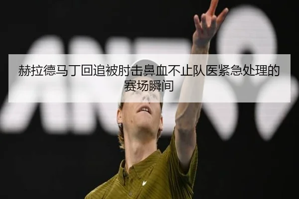 赫拉德马丁回追被肘击鼻血不止队医紧急处理的赛场瞬间